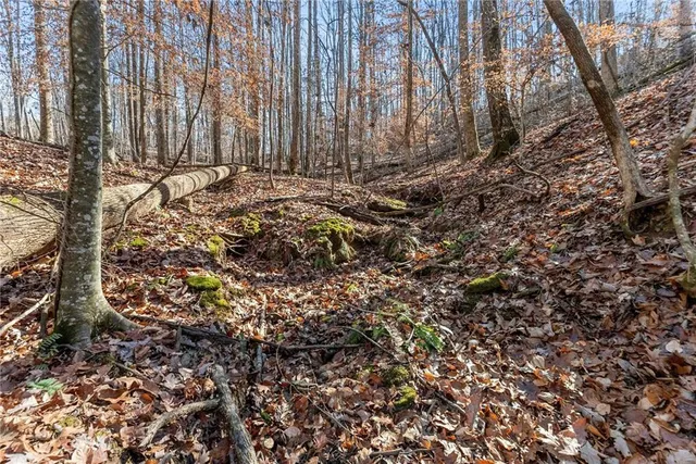 $799,900 | 3523 Lighthouse Lane, Gainesville, GA 30504