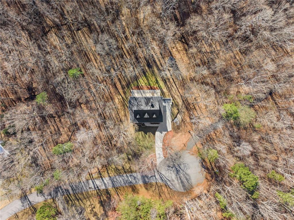 3523 Lighthouse Lane Gainesville, GA 30504 - Photo 68 of 72 a view of a wooden wall with trees in the background