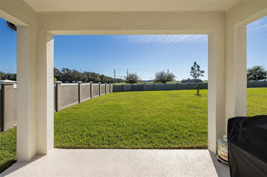 9224 Rally Spring Loop Wesley Chapel, FL 33545 - Photo 33 of 52 Gallery Image 33