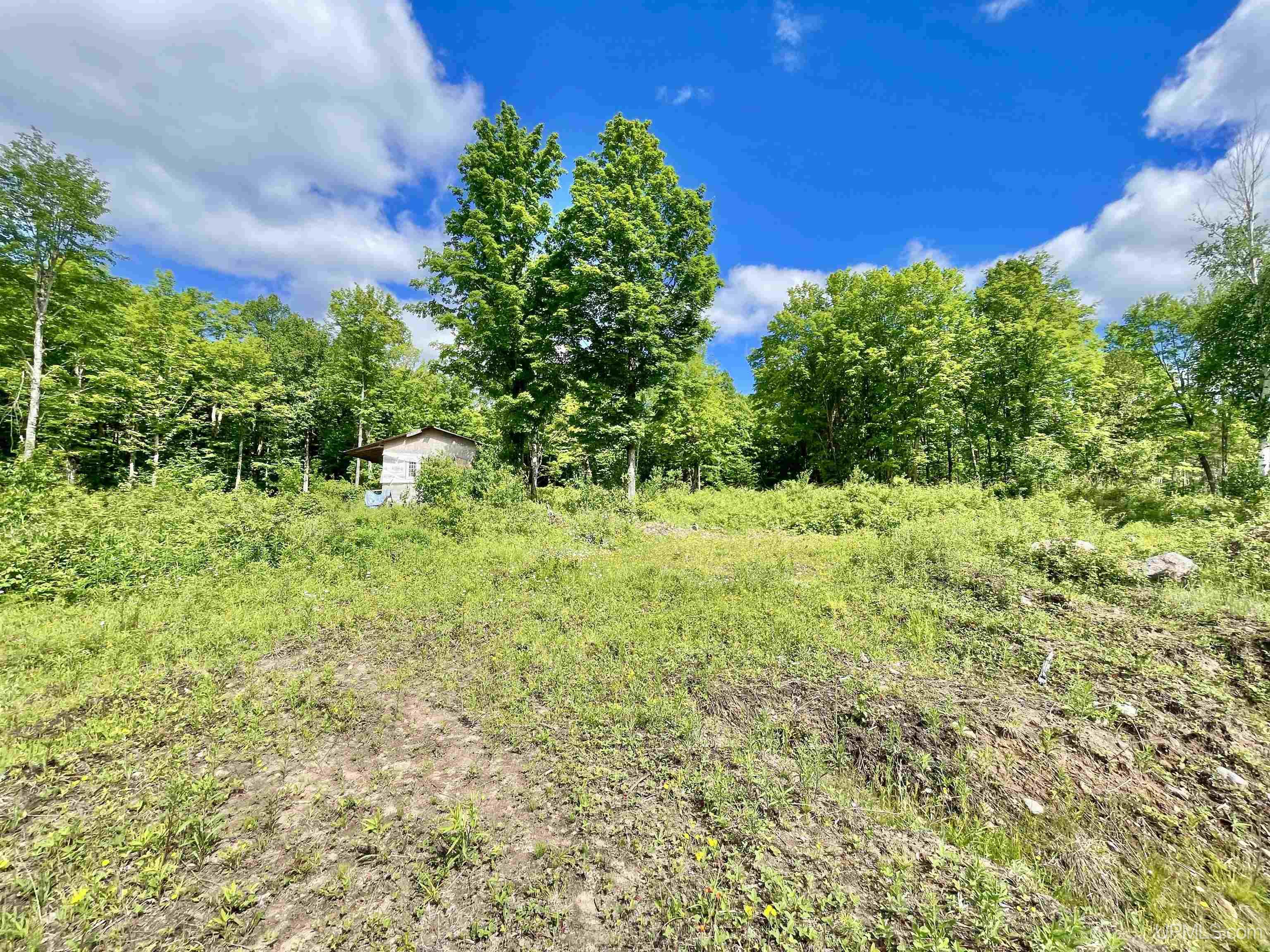Tbd Norway Lake Road Felch, MI 49831 - Photo 11 of 14
