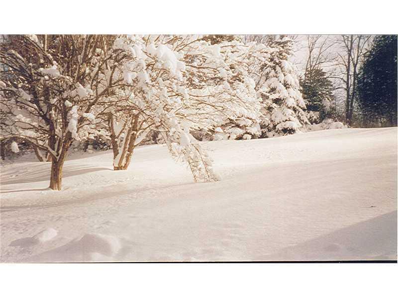 16 Ferry Road Orrington, ME 04474 - Photo 23 of 31 Yard/Garden.