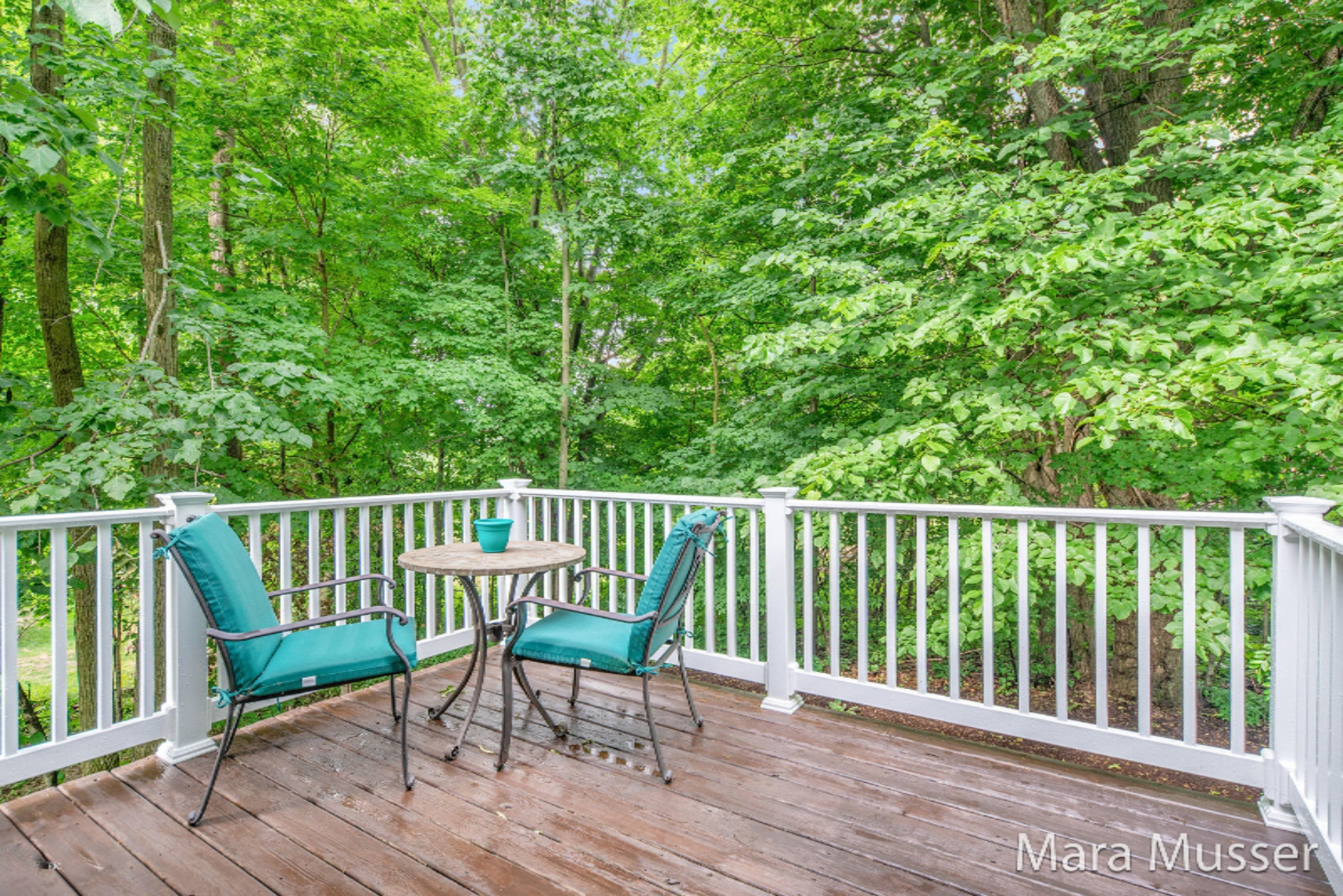 4005 Patti Road Dorr, MI 49323 - Photo 25 of 40 Deck off Dining Room