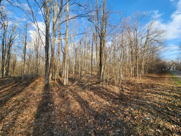 $2,500 | Valleyridge Circle, Elmira, MI 49730