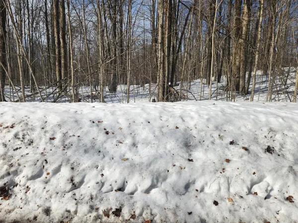$2,500 | Valleyridge Circle, Elmira, MI 49730