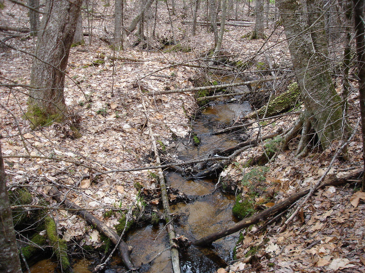 0 Sand Pond Road Limington, ME 04049 - Photo 10 of 10 DSC09944