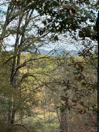 $125,000 | 270 C B Newton Road, Marble, NC 28905
