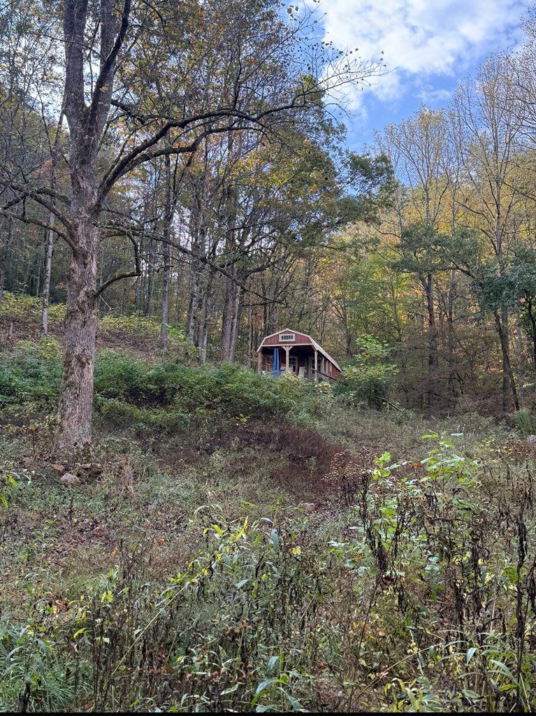 270 C B Newton Road Marble, NC 28905 - Photo 2 of 6