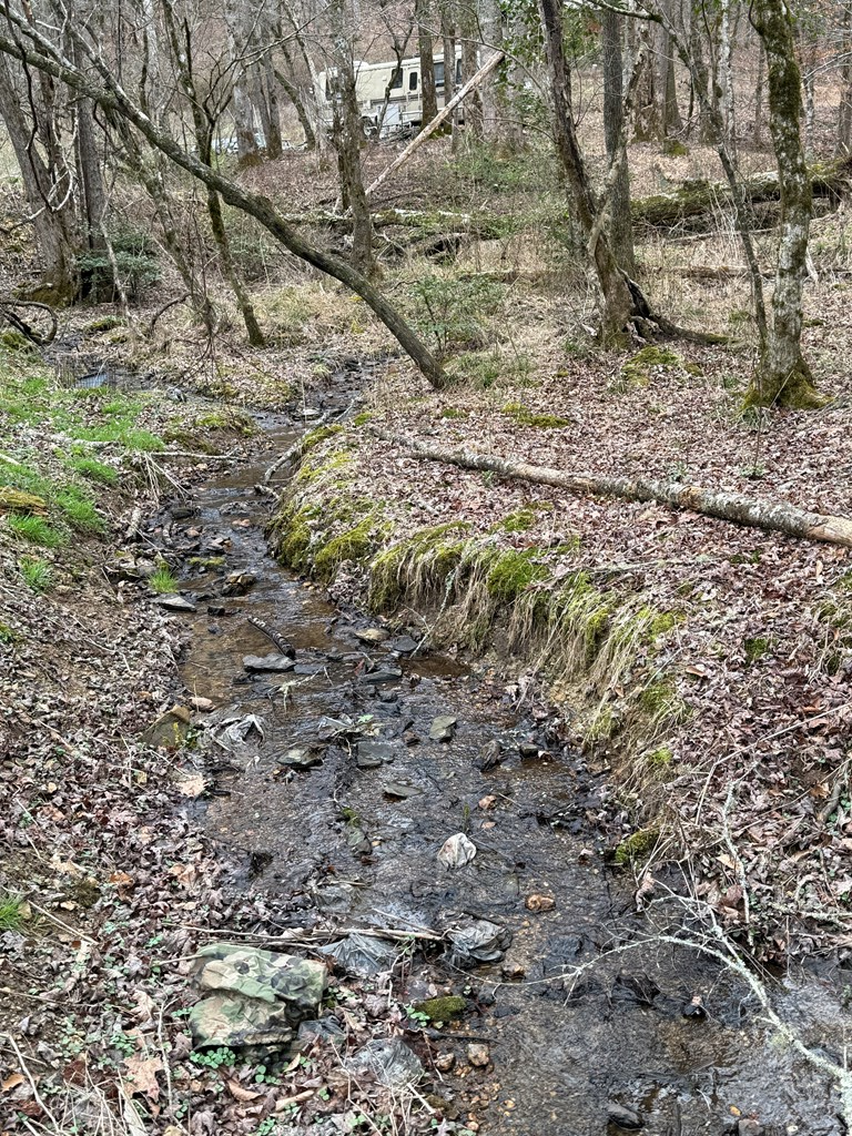 270 C B Newton Road Marble, NC 28905 - Photo 4 of 6