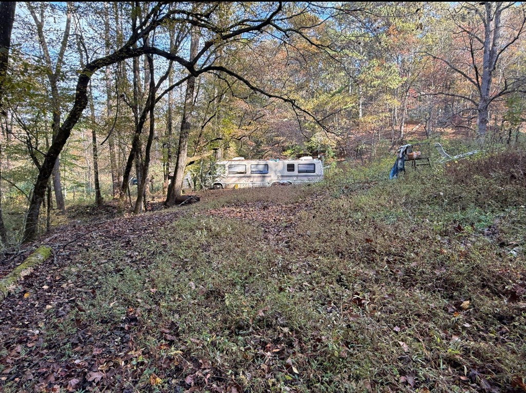 270 C B Newton Road Marble, NC 28905 - Photo 5 of 6