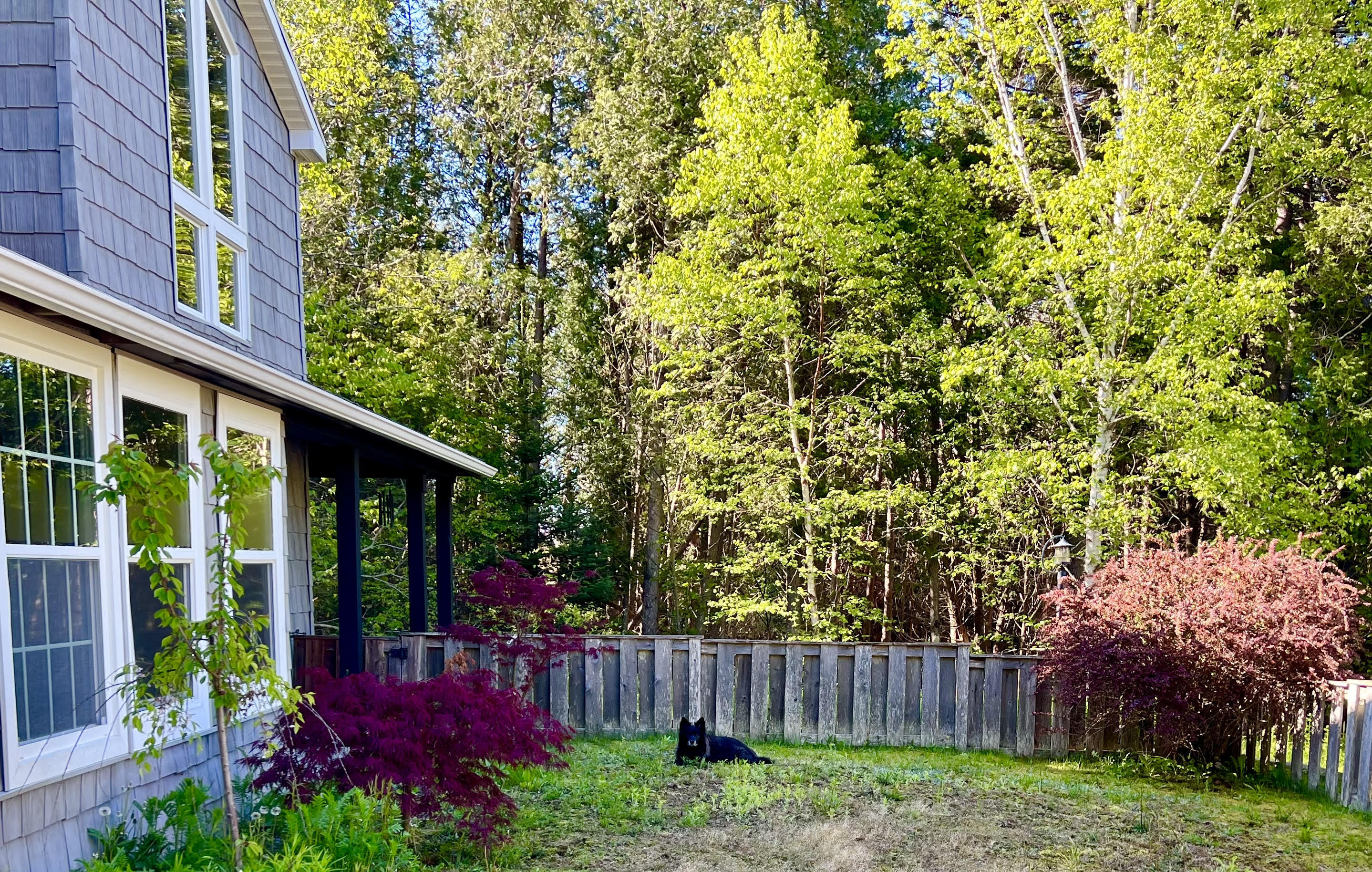15 Miles Road Seal Cove, ME 04674 - Photo 51 of 64 Fenced in front yard