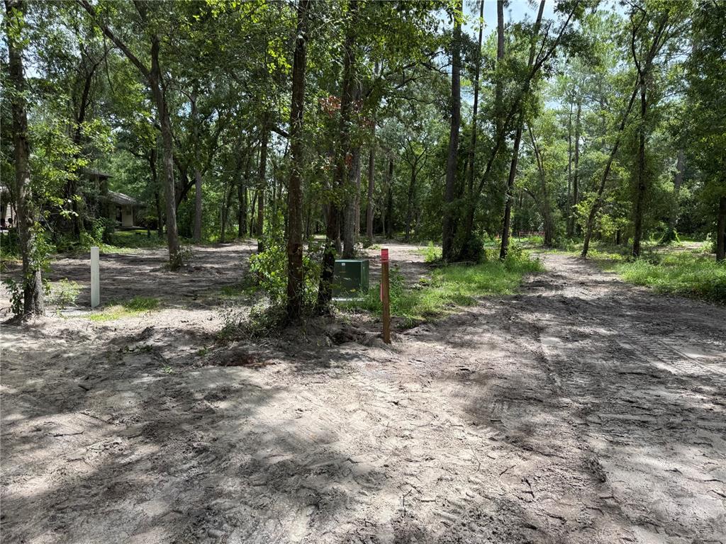 Tbd Waldo, FL 32694 - Photo 17 of 17