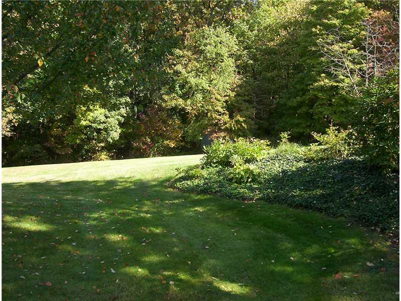 820 Shenango Road Beaver Falls, PA 15010 - Photo 14 of 15 Yard/Garden. wooded back yard view