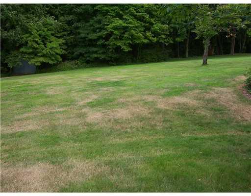 820 Shenango Road Beaver Falls, PA 15010 - Photo 3 of 15 Land.