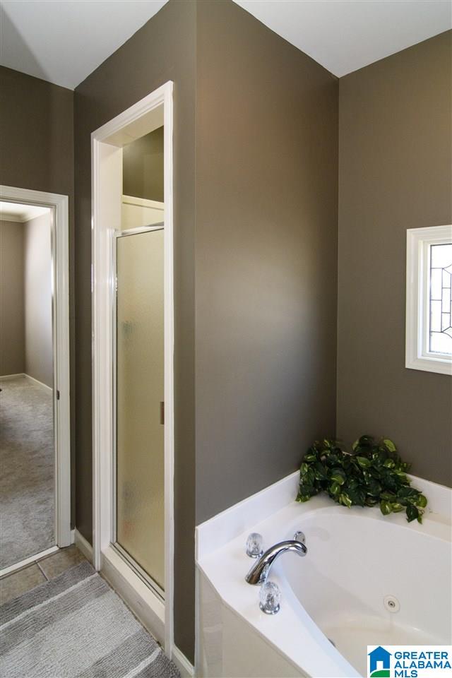 129 Astor Circle Chelsea, AL 35043 - Photo 23 of 47
