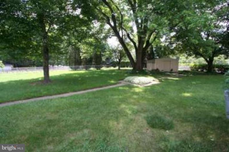 Back yard