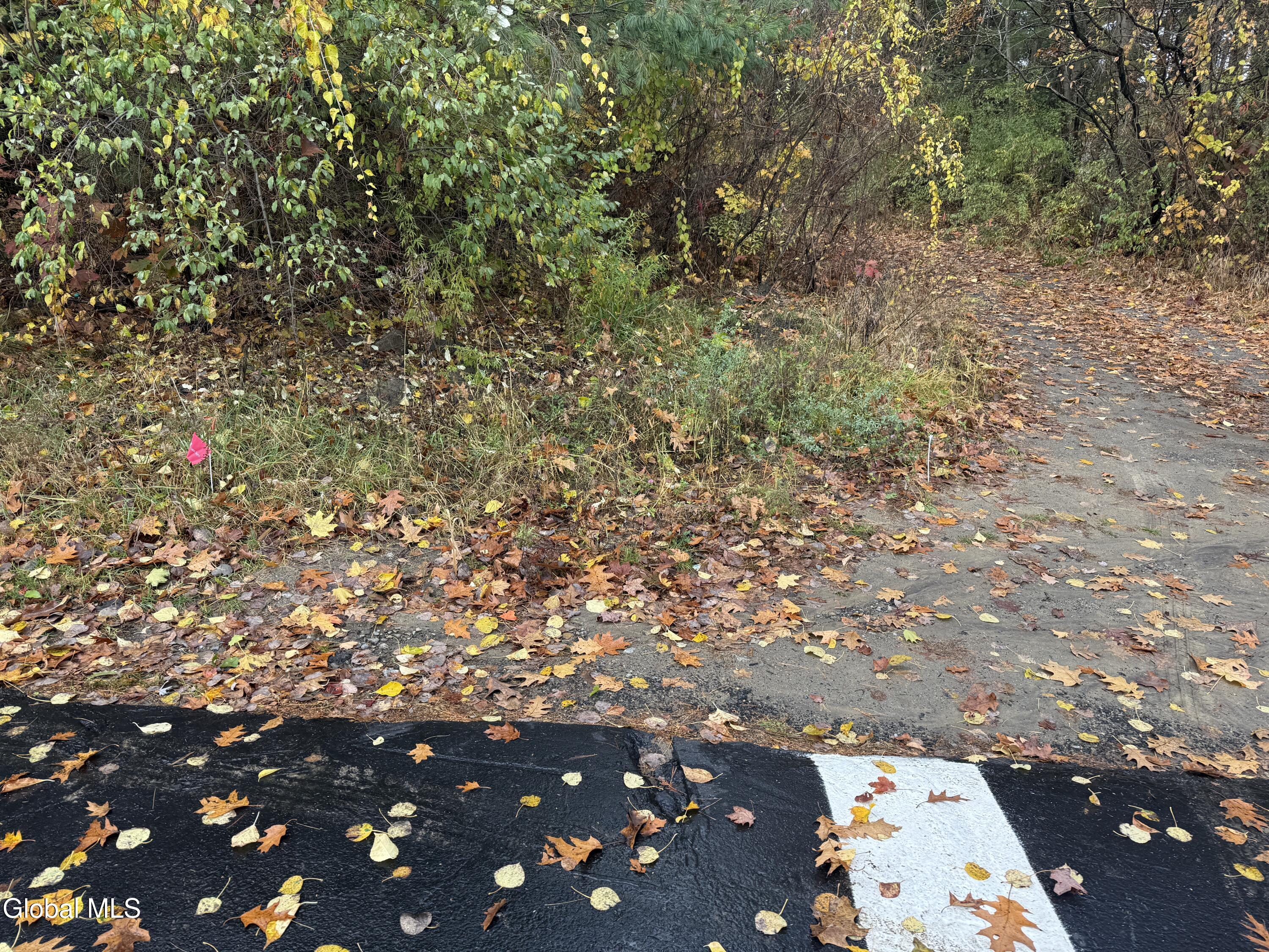 Third 3rd Street Corinth, NY 12822 - Photo 3 of 10 IMG_0394