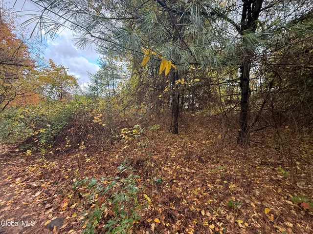 $3,500 | Third 3rd Street, Corinth, NY 12822