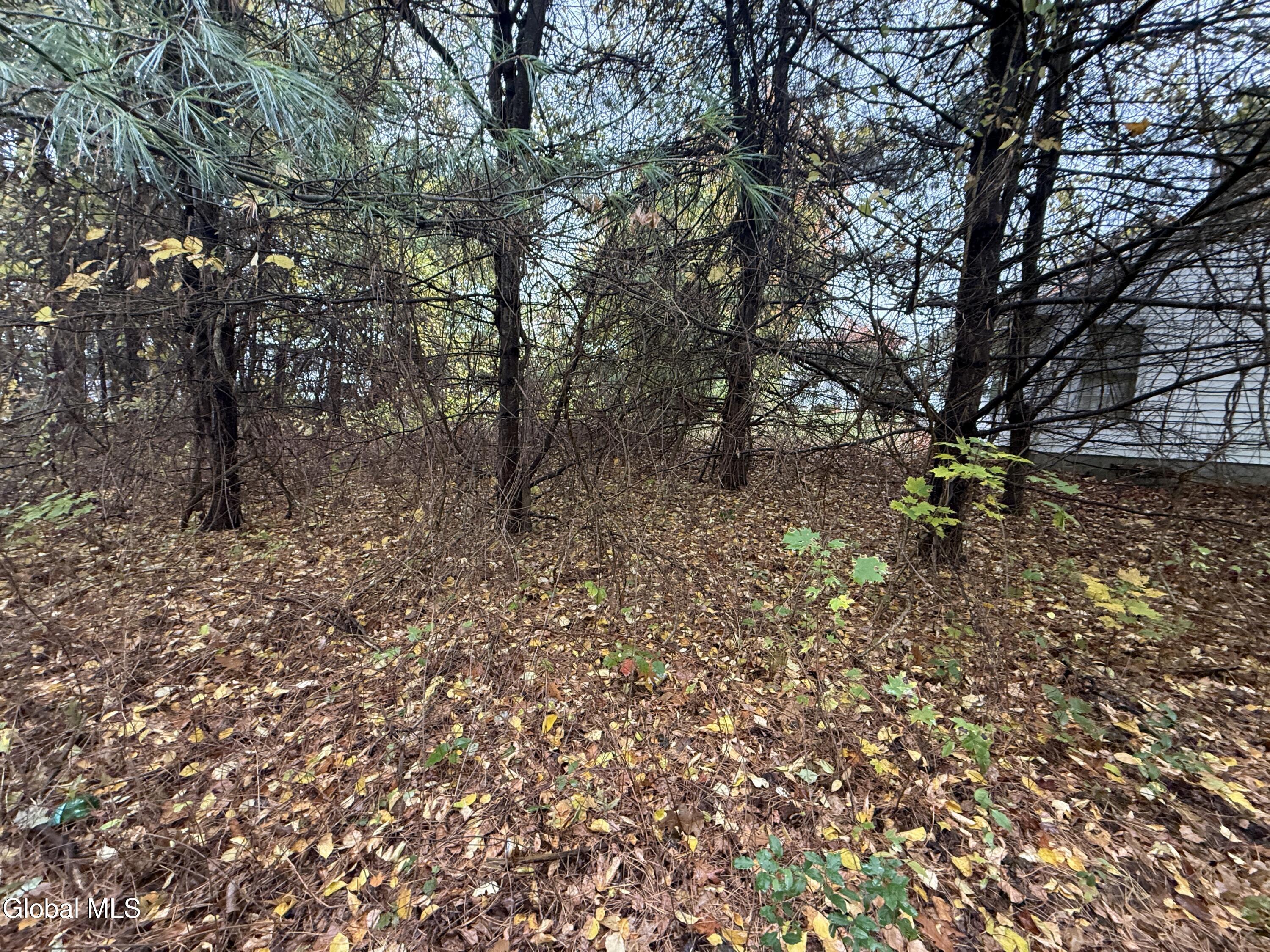 Third 3rd Street Corinth, NY 12822 - Photo 7 of 10 IMG_0335