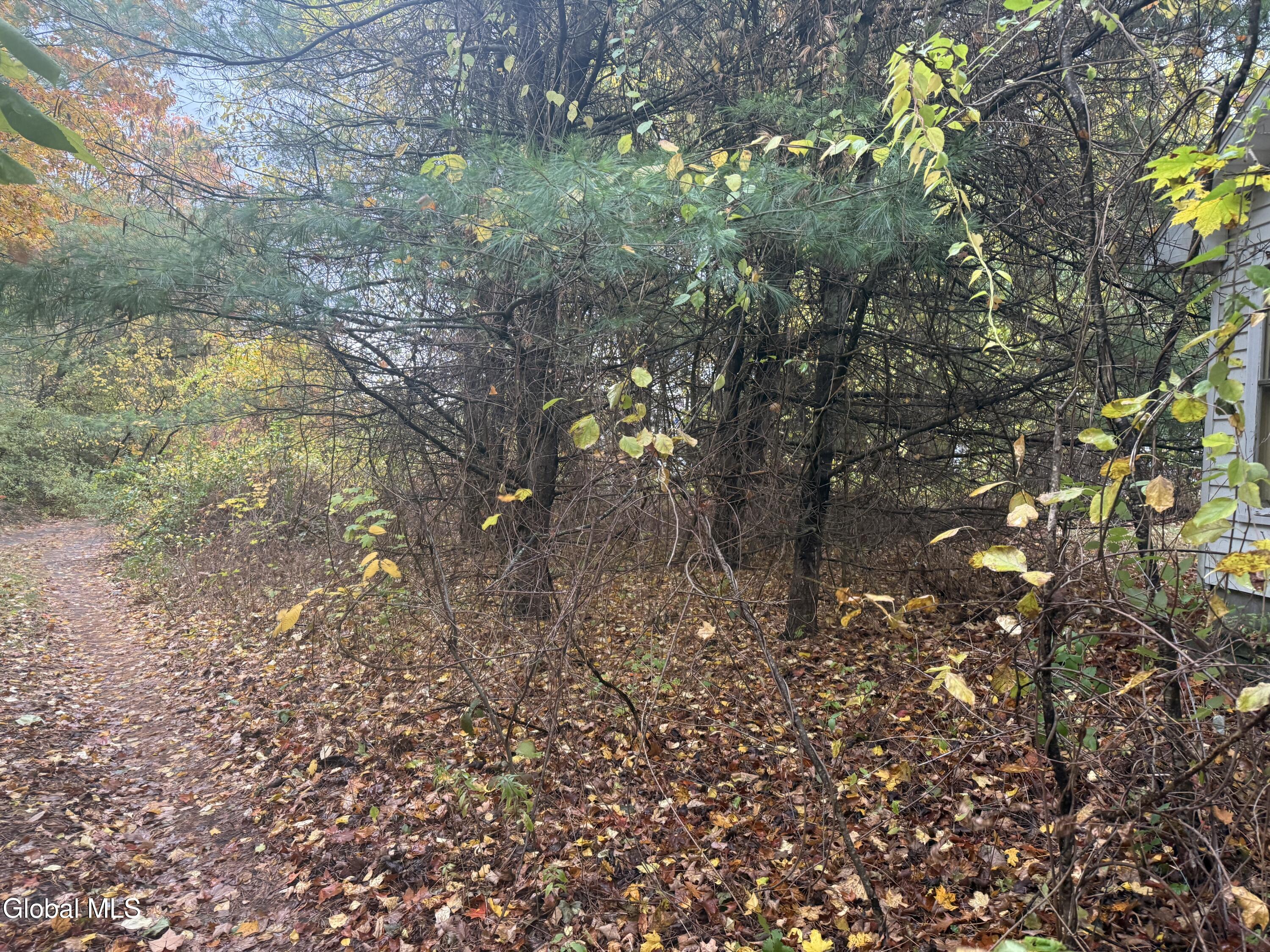 Third 3rd Street Corinth, NY 12822 - Photo 8 of 10 IMG_0339