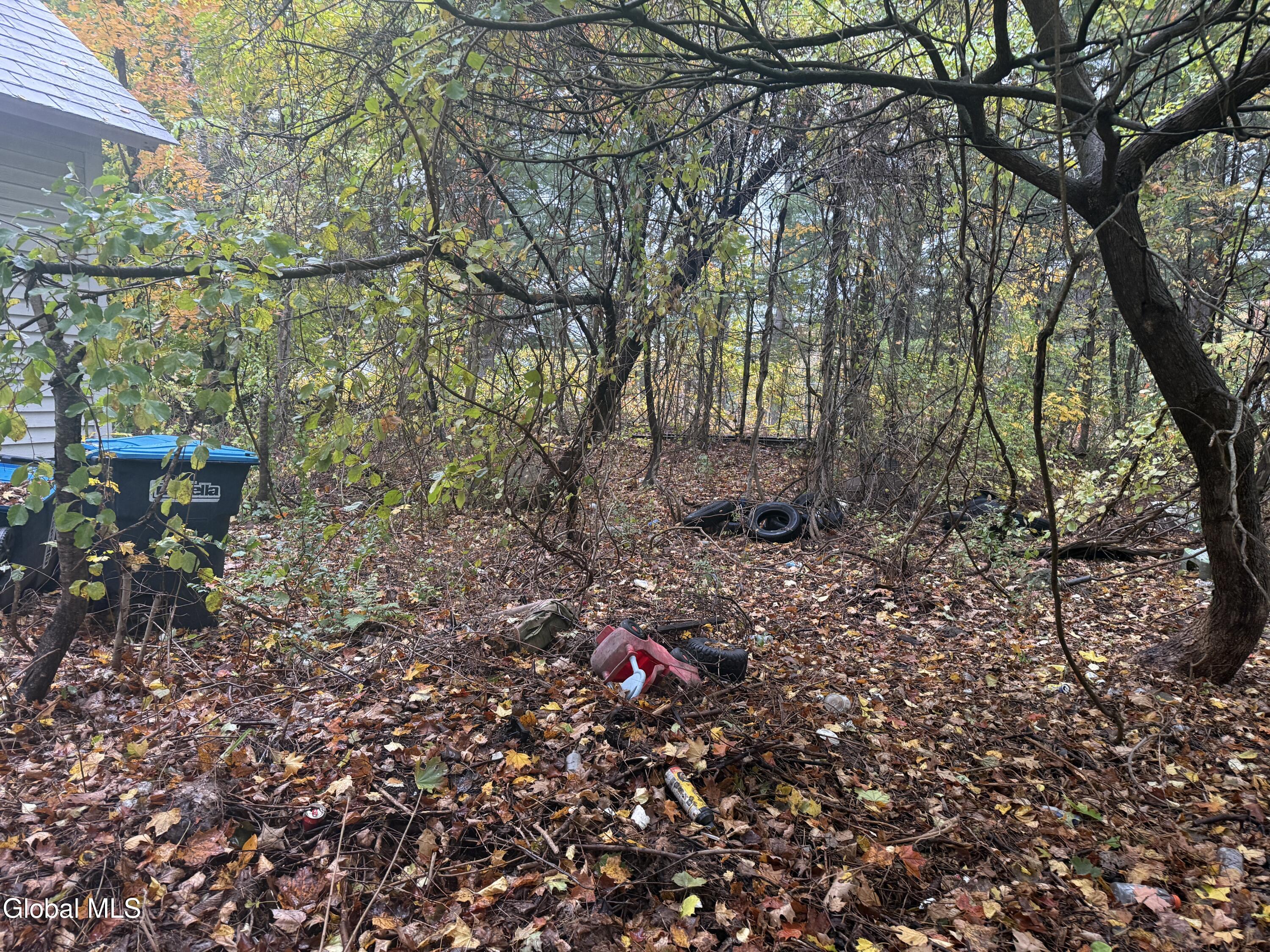 Third 3rd Street Corinth, NY 12822 - Photo 9 of 10 IMG_0342