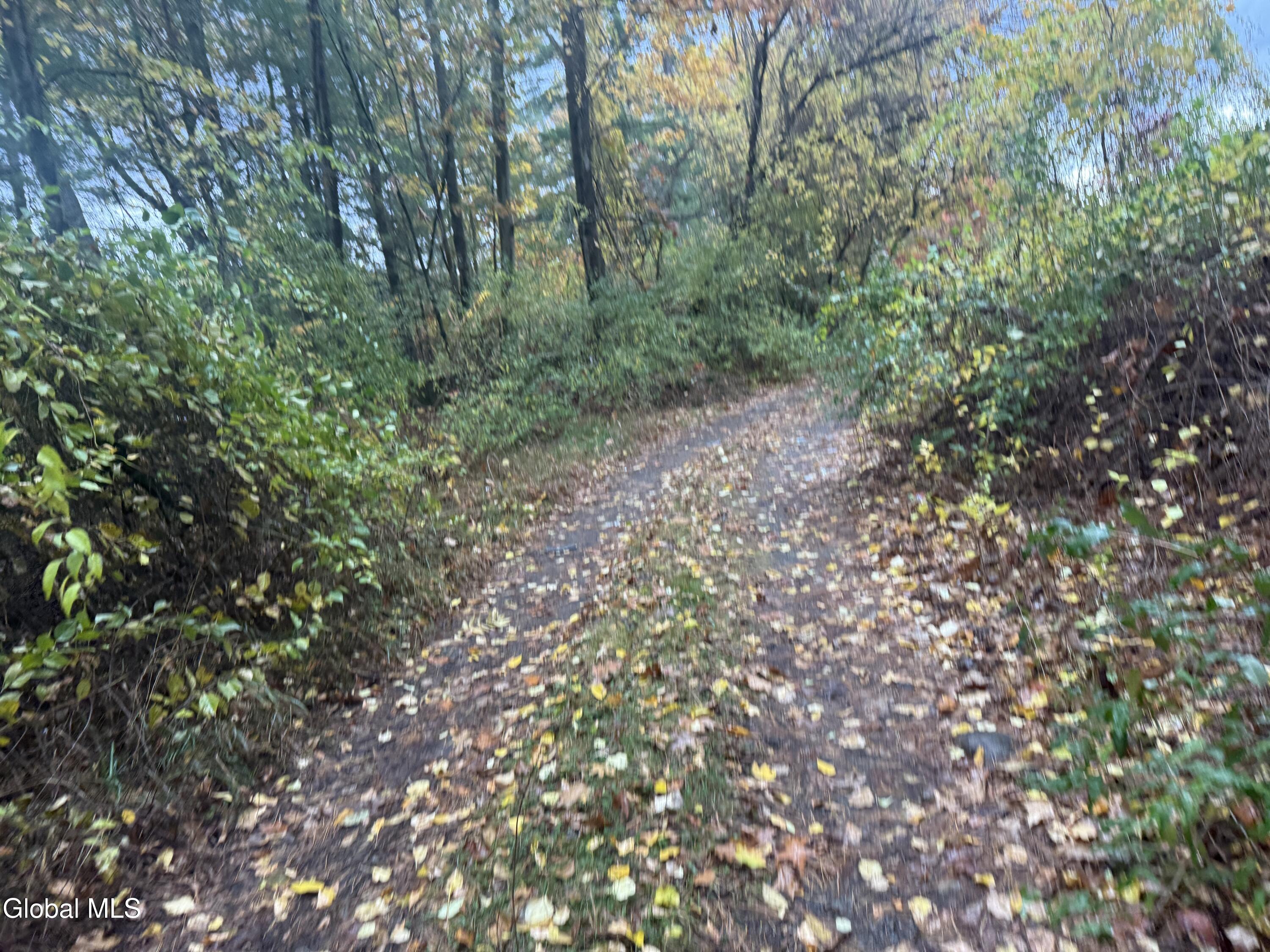 Third 3rd Street Corinth, NY 12822 - Photo 10 of 10 IMG_0344