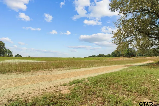 a view of a lake with houses in the background
