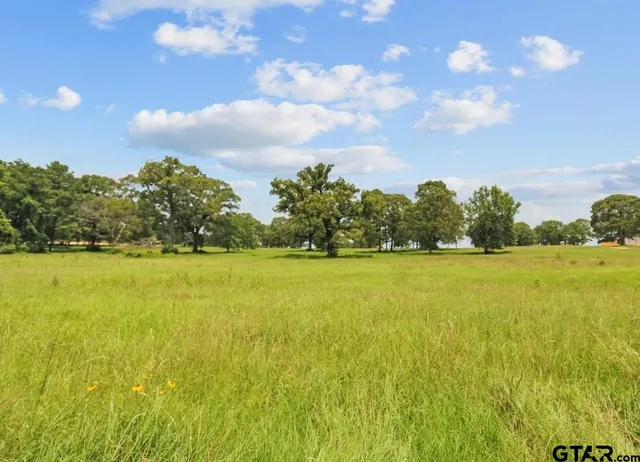 a view of an ocean and beach