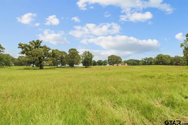 a view of an ocean and beach