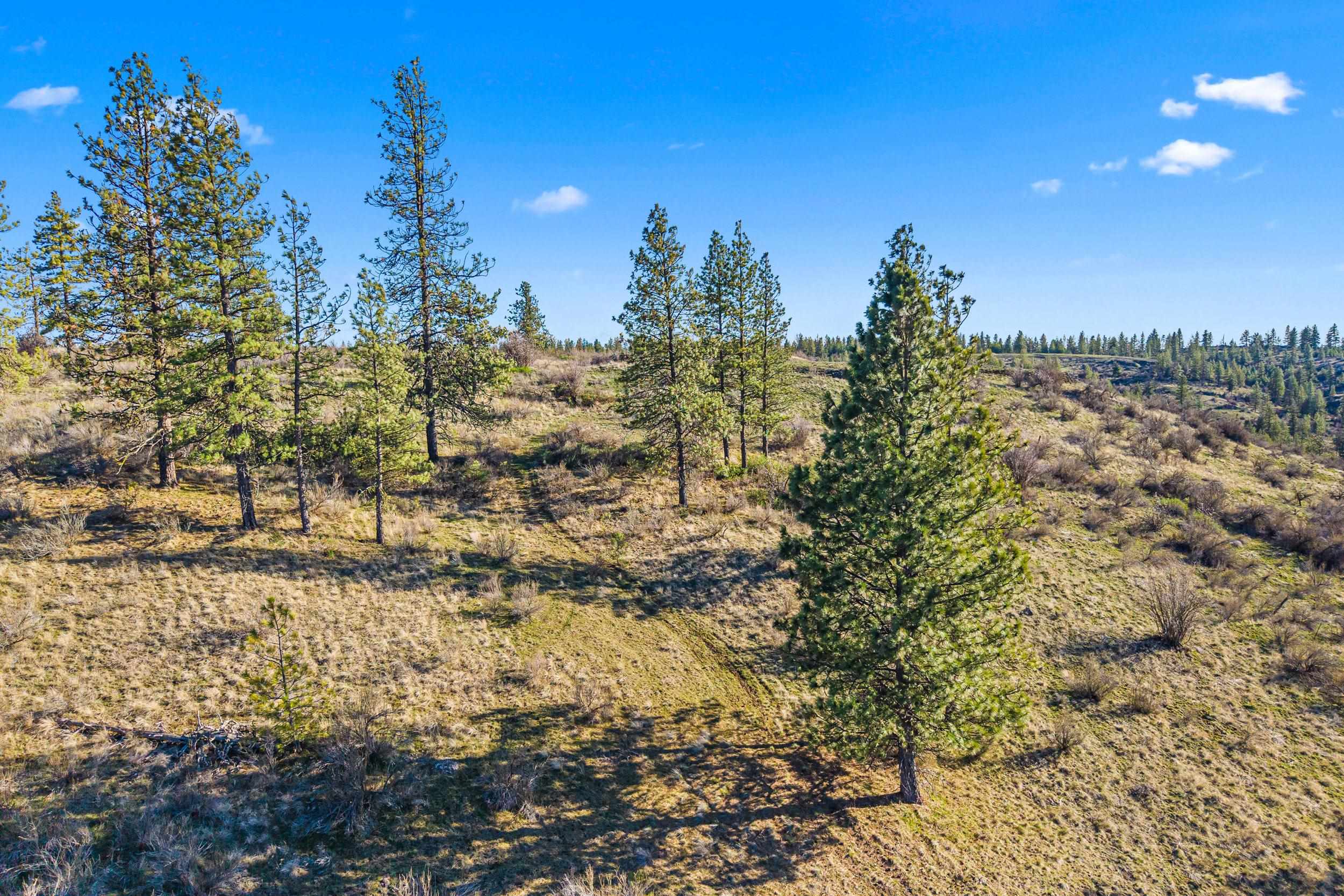 27220 Underwood Cyn Road East Creston, WA 99117 - Photo 1 of 13