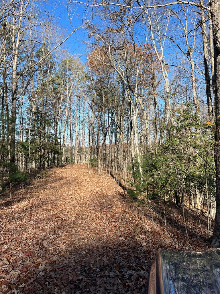Tbd Tbd Corey Hill Road Murphy, NC 28906 - Photo 1 of 6 Main View