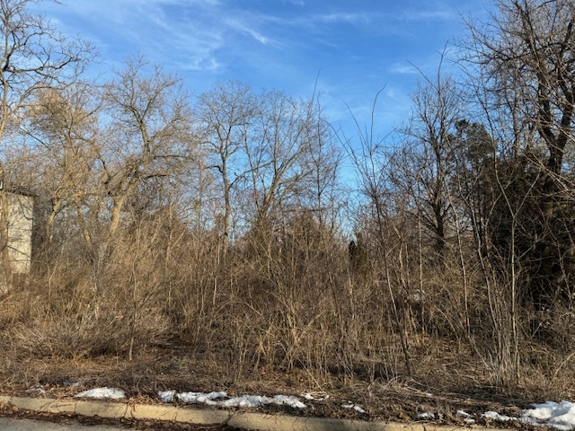 Lt 25 Cermak Road Algonquin, IL 60102 - Photo 5 of 10 a view of a yard