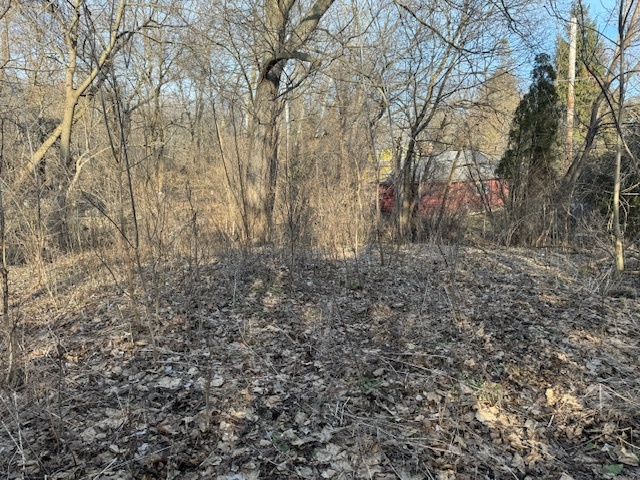 Lt 25 Cermak Road Algonquin, IL 60102 - Photo 7 of 10 a view of a yard with large trees