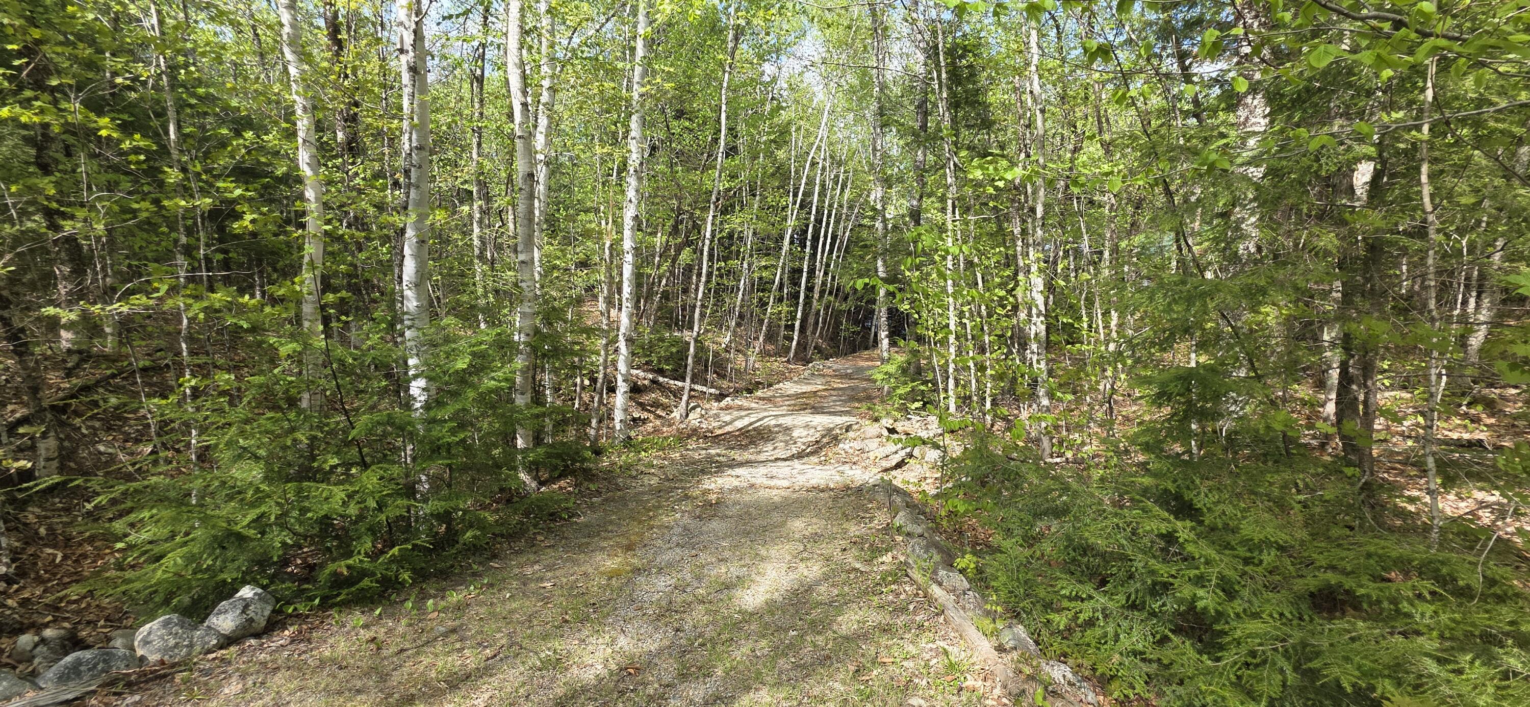 1261 Turkey Tail Road Millinocket, ME 04462 - Photo 2 of 41 20250515_152504