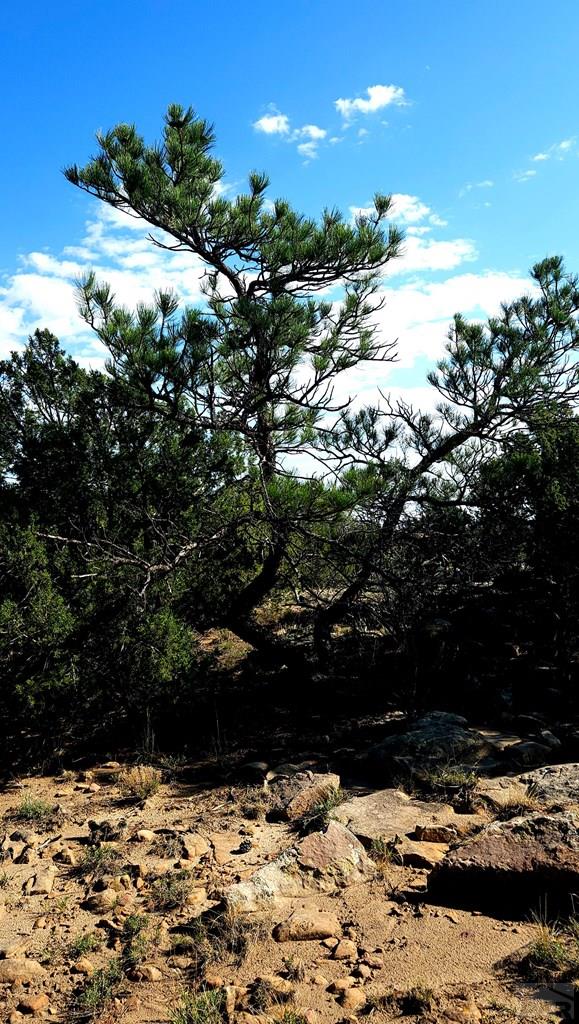 Lot 60 Turkey Ridge Road Walsenburg, CO 81089 - Photo 5 of 7 Gallery Image 5