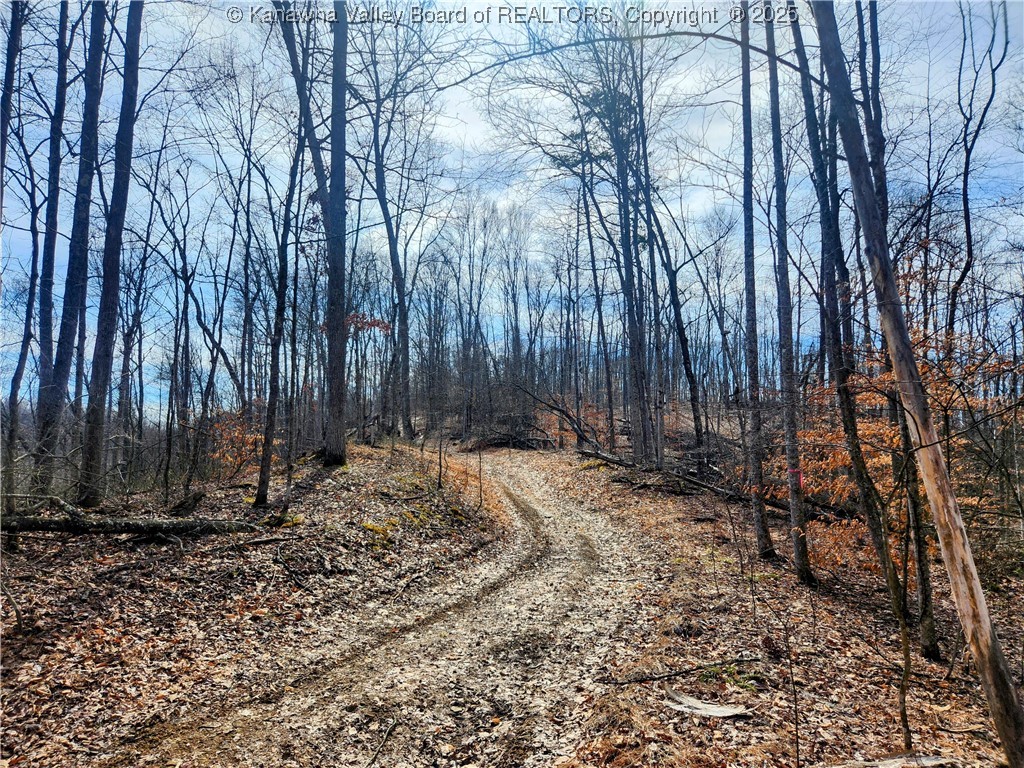 0 Indian Creek Road Elkview, WV 25071 - Photo 5 of 18 Gallery Image 5