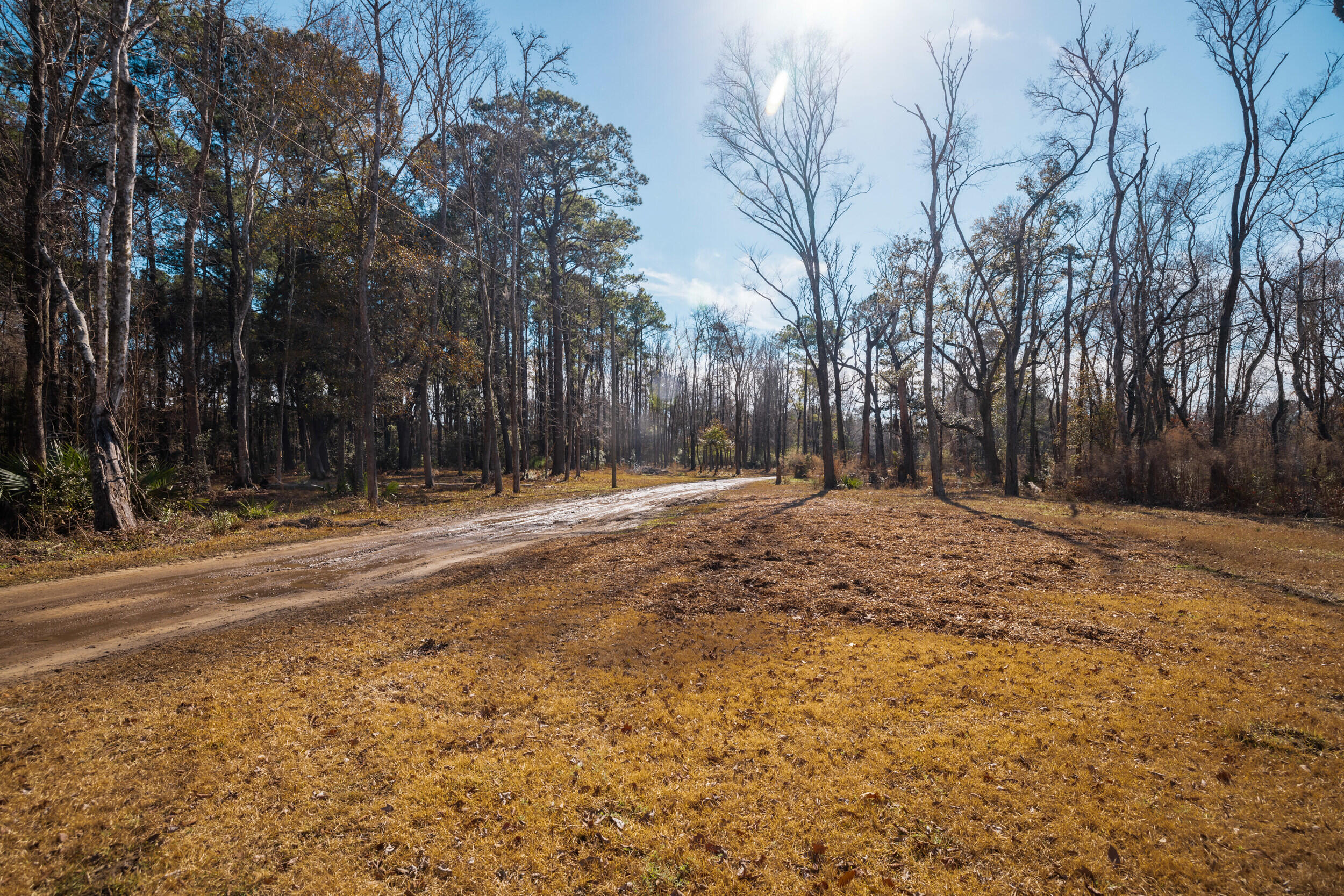 4294 River Road Johns Island, SC 29455 - Photo 16 of 64 111_4294 river rd _mgc7469