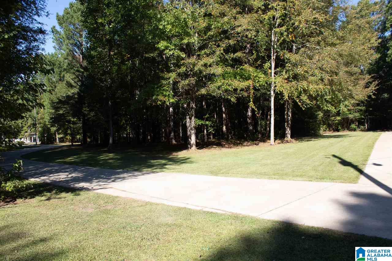 958 Possum Trot Road Piedmont, AL 36272 - Photo 3 of 39