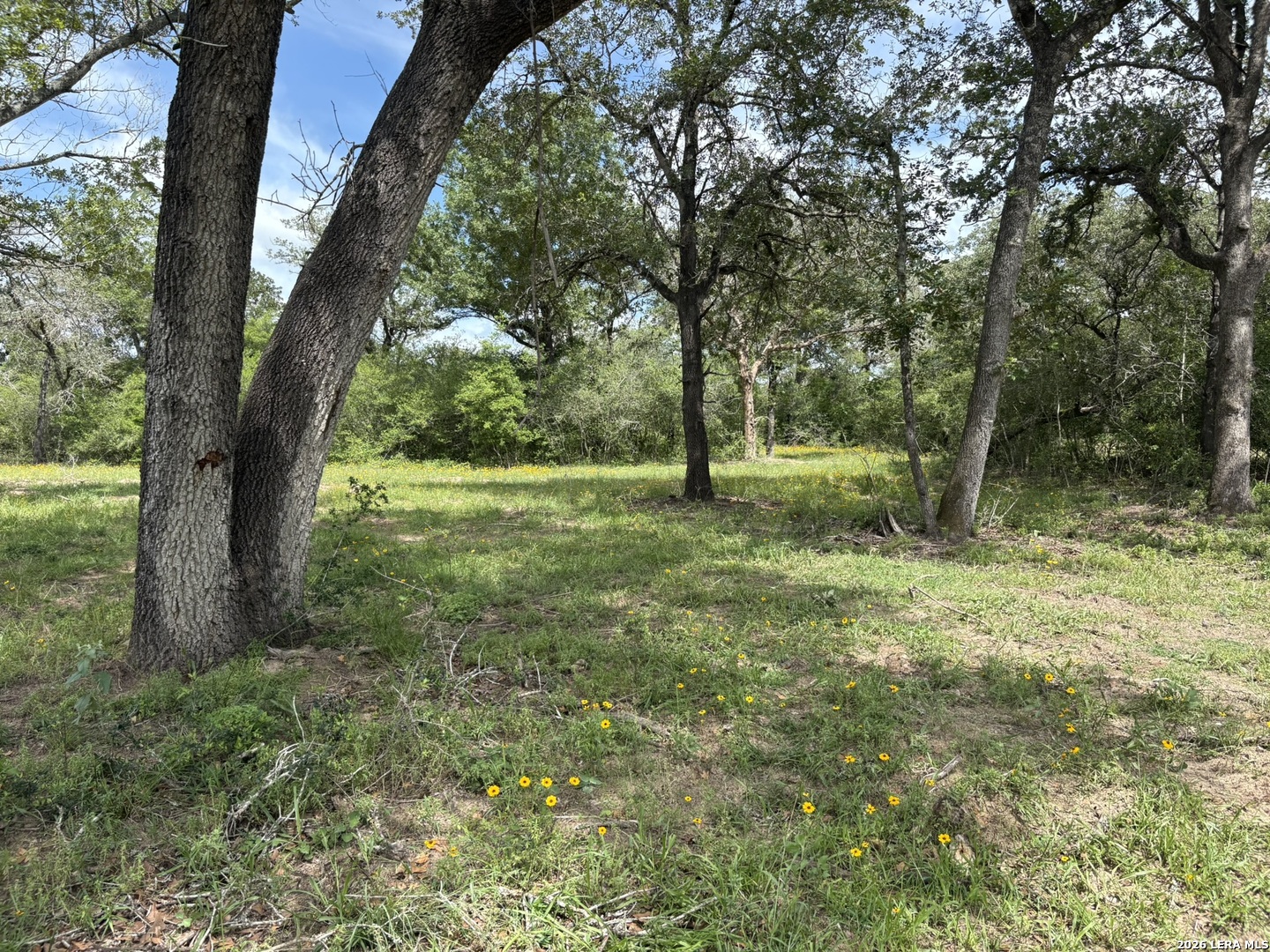 69 Powder Ridge Luling, TX 78648 - Photo 1 of 13 Gallery Image 1