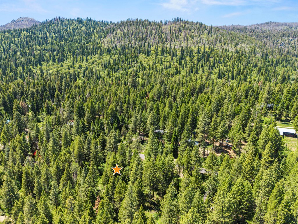 520 Susan Road, Unit 25 Cascade, ID 83611 - Photo 8 of 11 West Mountain Playground