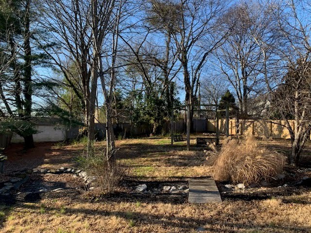 0 South Garner Street Springfield, TN 37172 - Photo 2 of 2