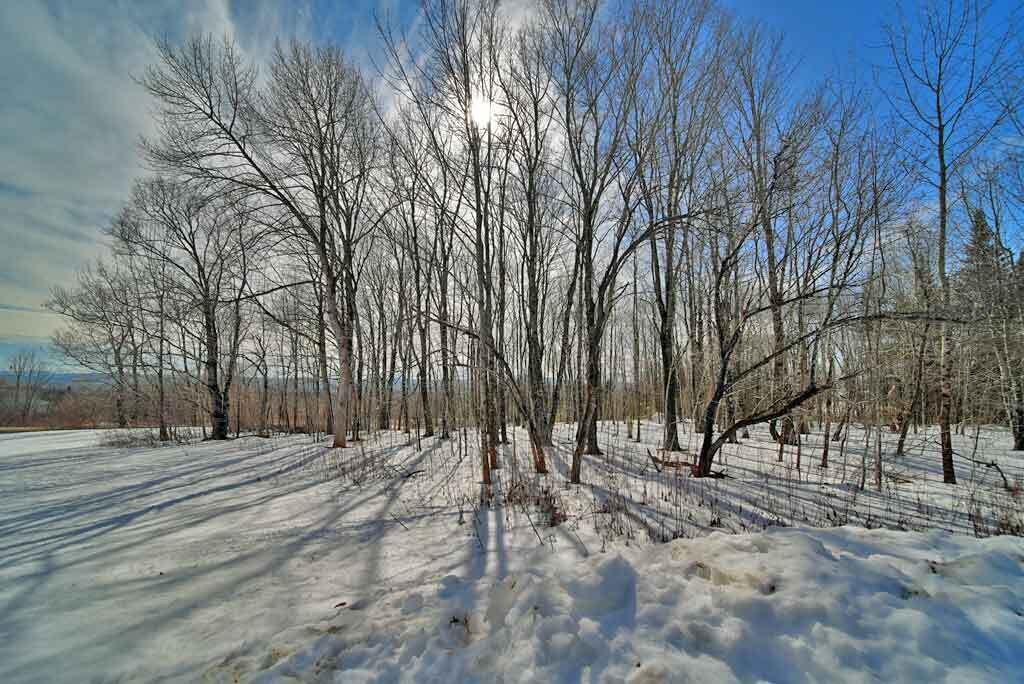 20 Hemore Road Houlton, ME 04730 - Photo 48 of 61 west-line-log-home