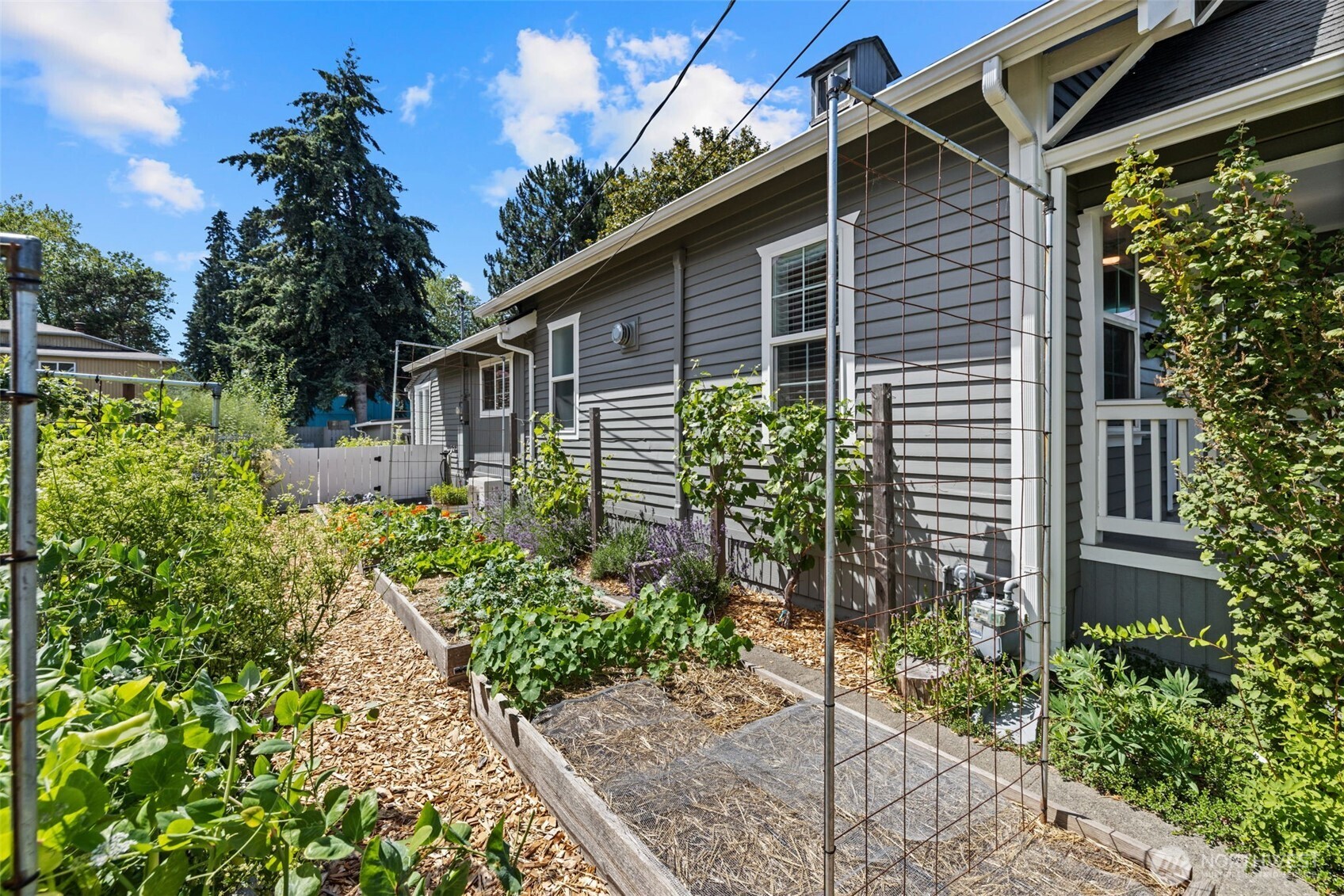 523 Williams Avenue South Renton, WA 98057 - Photo 33 of 39 Gallery Image 33
