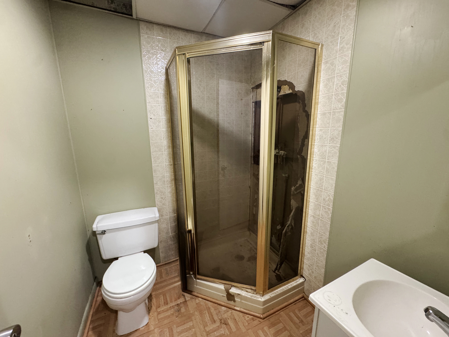 310 North 3rd Avenue Chenoa, IL 61726 - Photo 10 of 23 a bathroom with a shower and a toilet