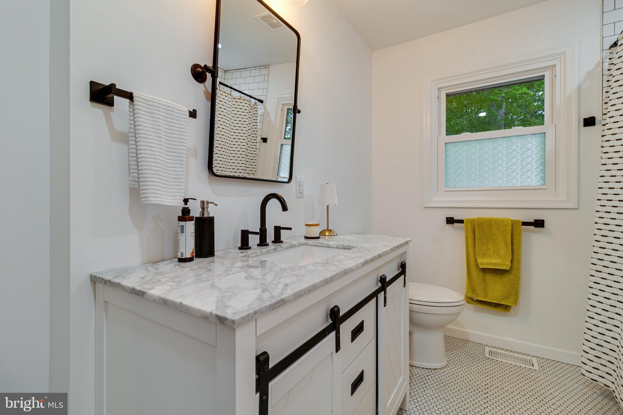 43671 Sunny Ridge Lane Hollywood, MD 20636 - Photo 24 of 45 Modern elegance in a bright bathroom.