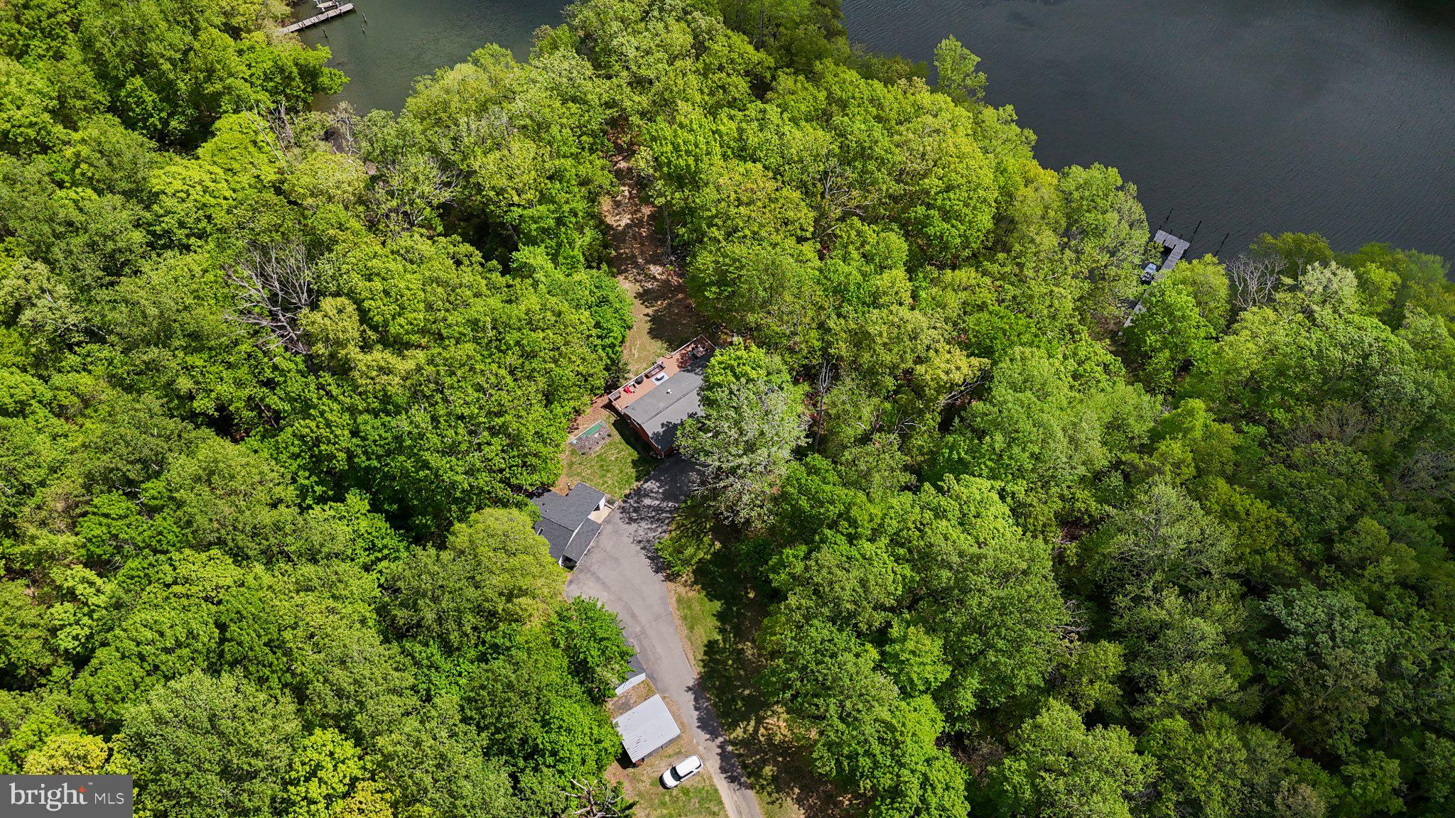 43671 Sunny Ridge Lane Hollywood, MD 20636 - Photo 45 of 45 Serene retreat amidst lush greenery.