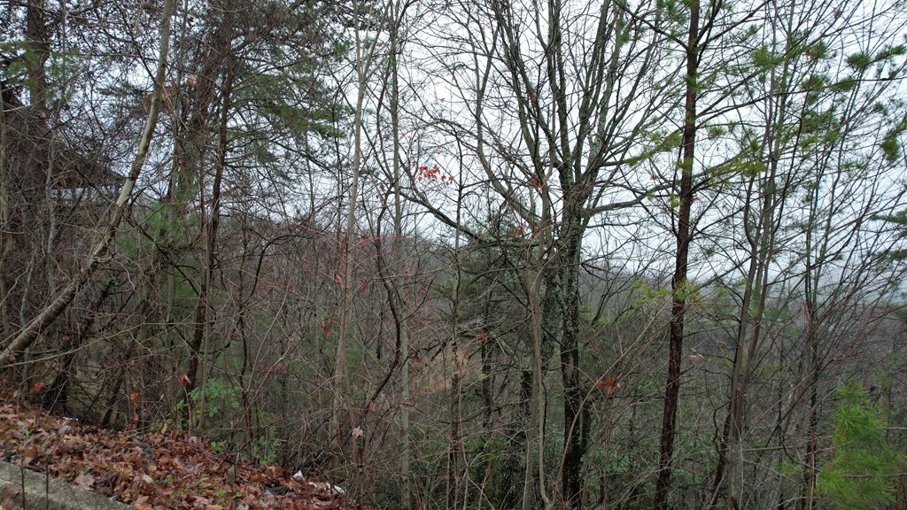 31 Grouse Ridge Lane Sevierville, TN 37862 - Photo 6 of 17