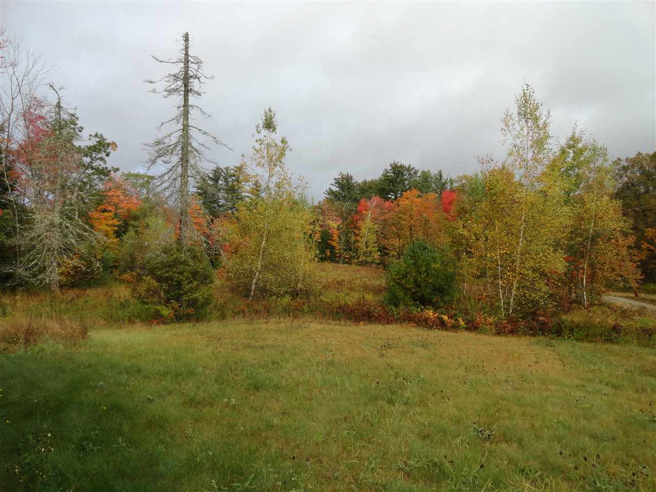 190 Wild Meadow Road Danbury, NH 03230 - Photo 4 of 22 Gallery Image 4