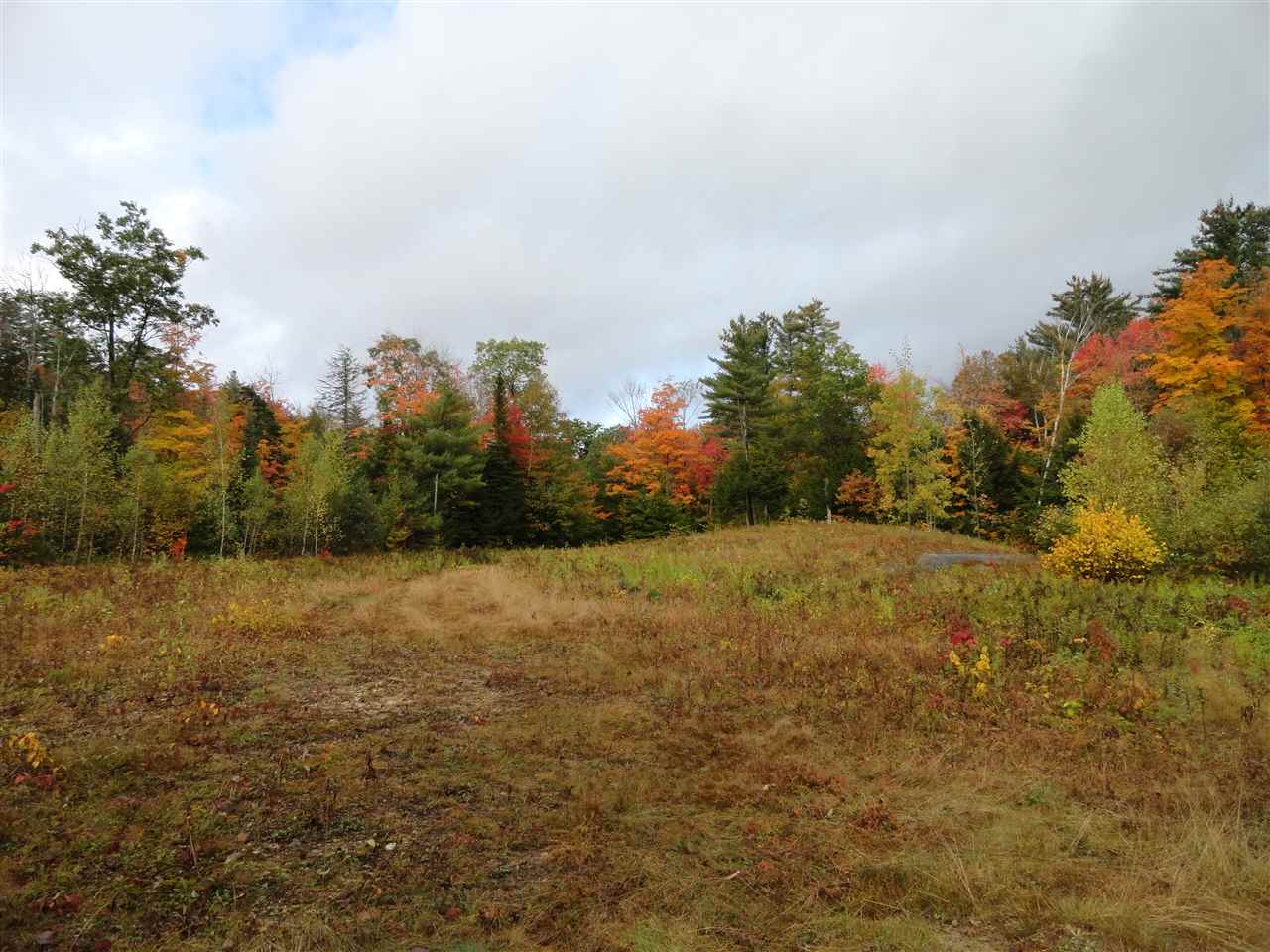 190 Wild Meadow Road Danbury, NH 03230 - Photo 5 of 22 Gallery Image 5