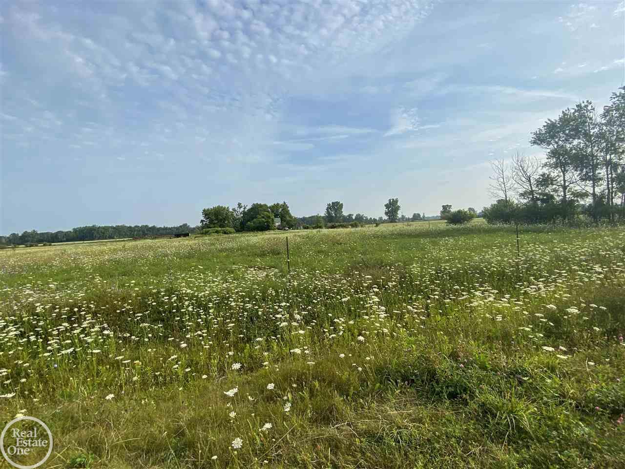 8914 Melvin Road Melvin, MI 48454 - Photo 12 of 15 50051839-11.JPG