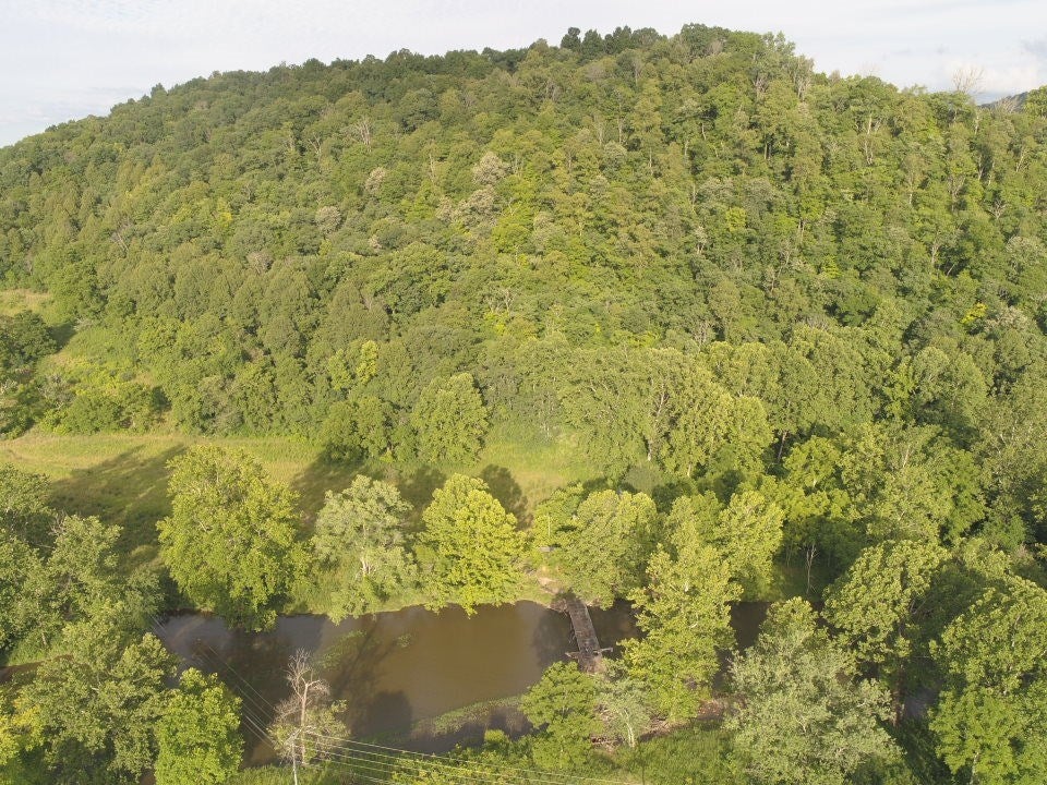 Tbd Cedar Branch Road Saltville, VA 24370 - Photo 25 of 41 Gallery Image 25